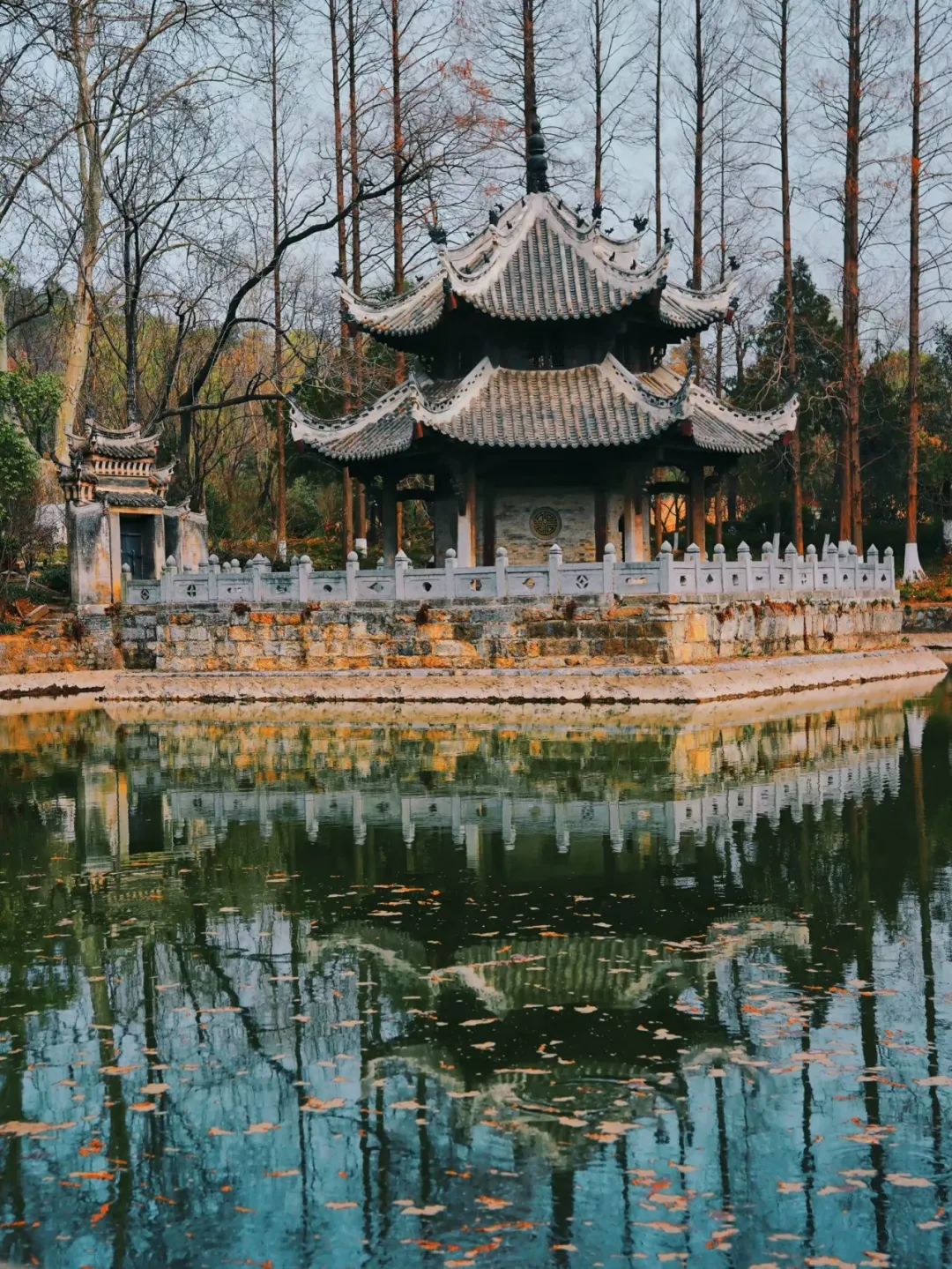 图片 图片
