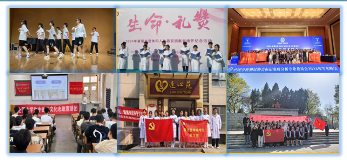 图片10.png 图片10.png